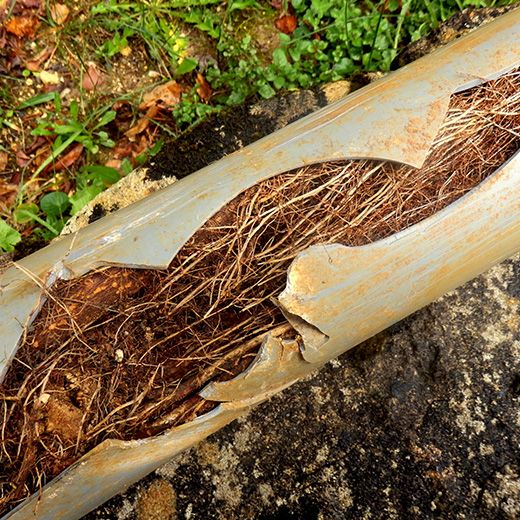 Same Day Drain Sewer & Rooter Pros Across Farmington