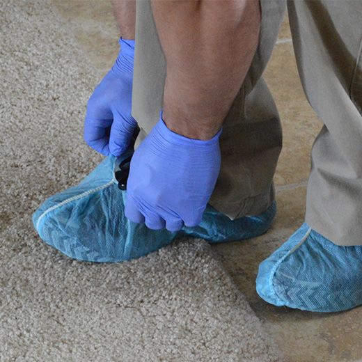 Clean & Tidy Service